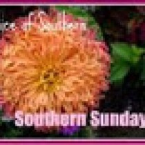 slice of souther (southern sunday)-3